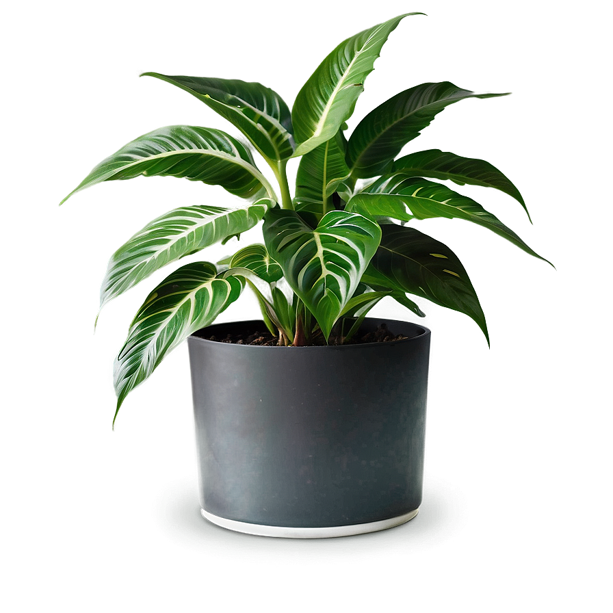 Office Plant Png Unl PNG Image