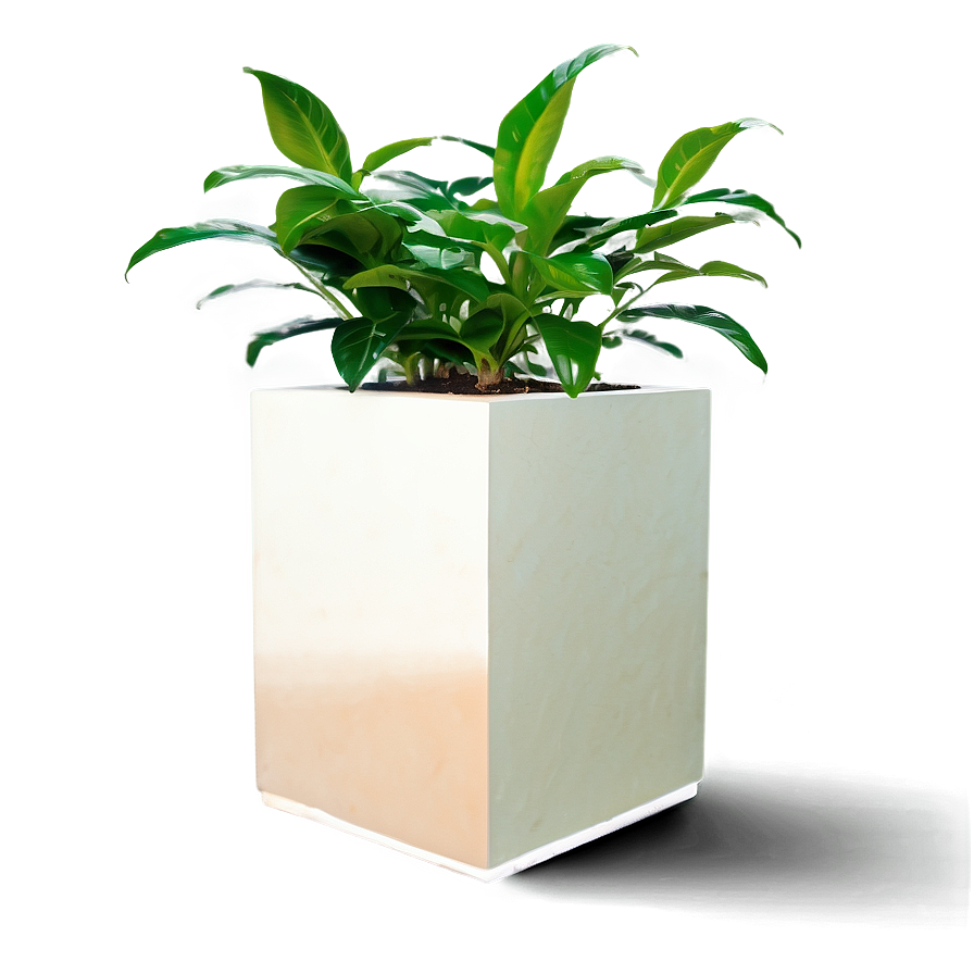 Office Plants Png Tnx PNG Image