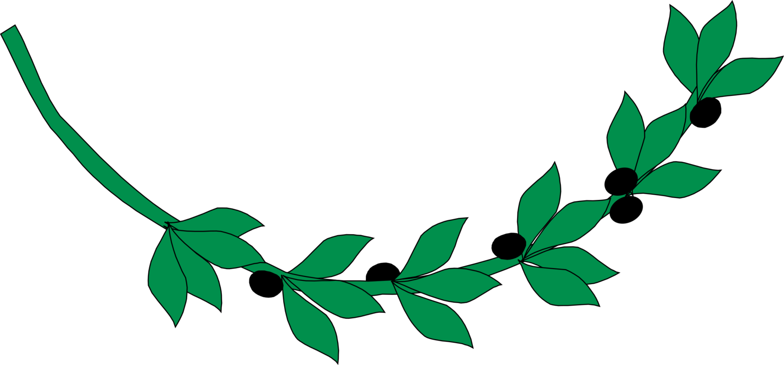 Olive Branch Graphic PNG Image