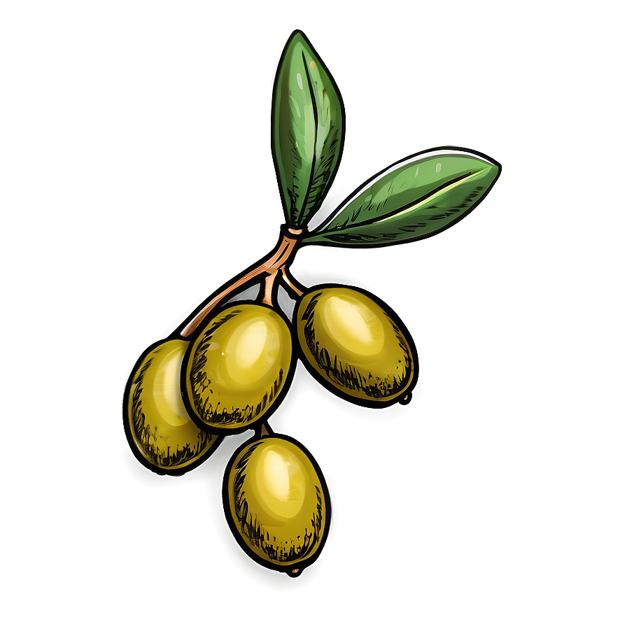 Olive Branch Sketch Png 05242024 PNG Image