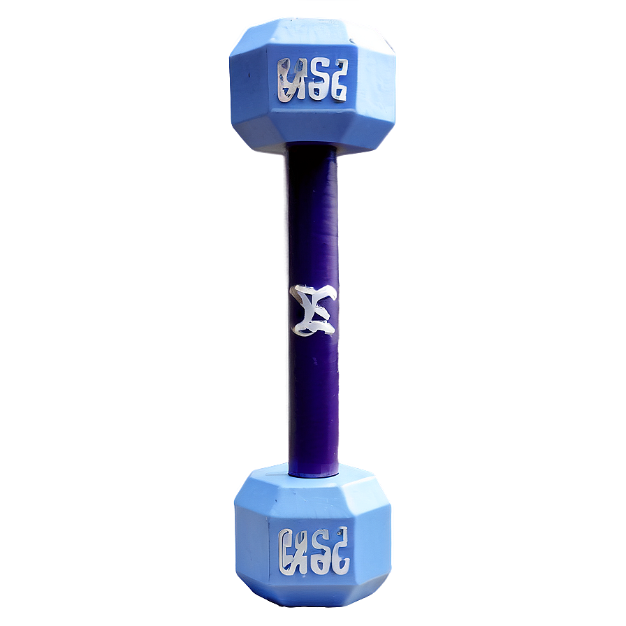 Olympic Standard Dumbbell Png 47 PNG Image