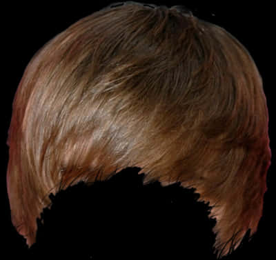 Ombre Hairstyle Back View PNG Image