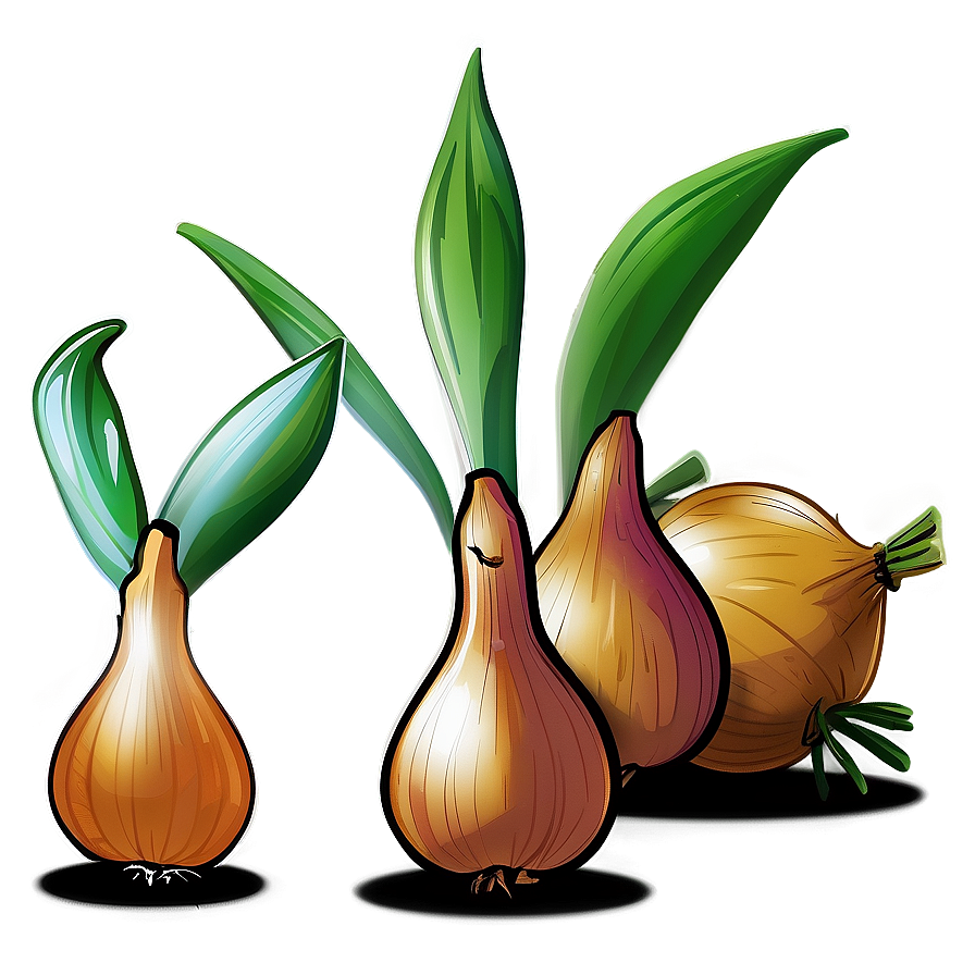 Onion Plant Illustration Png 06122024 PNG Image