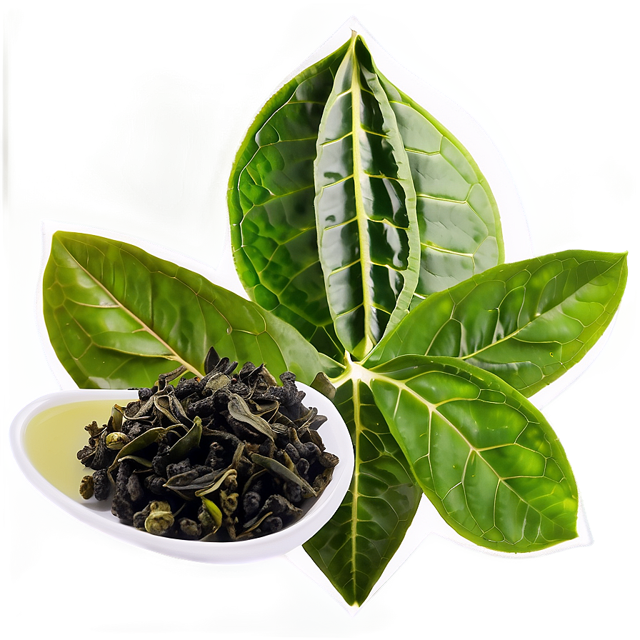 Oolong Tea Leaf Png Jcu PNG Image