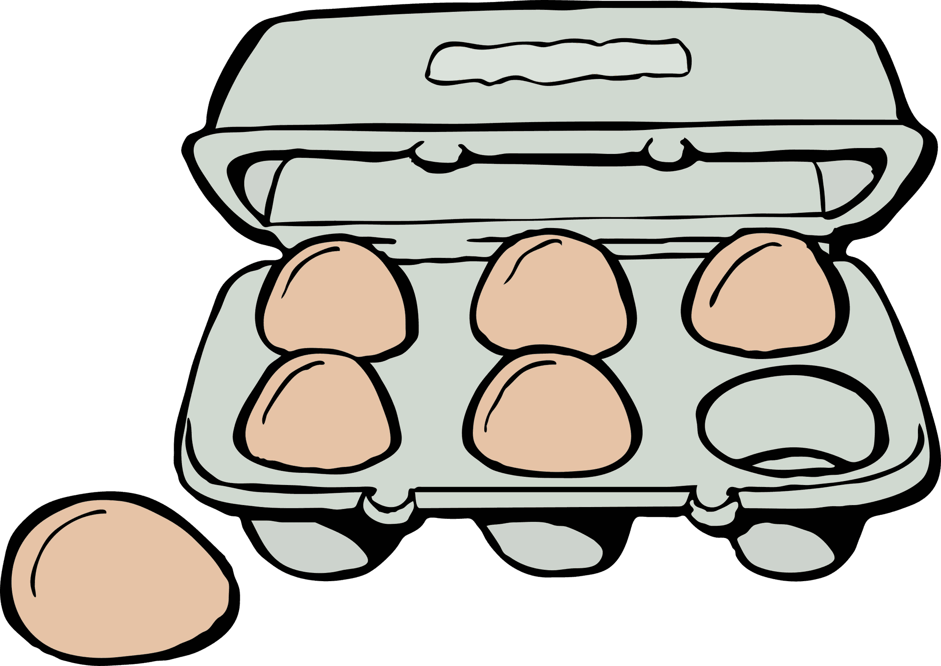 Open Egg Carton With One Egg Missing PNG Image