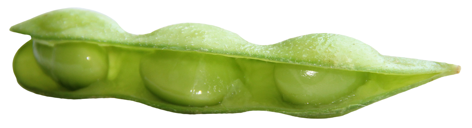 Open Green Pea Pod PNG Image