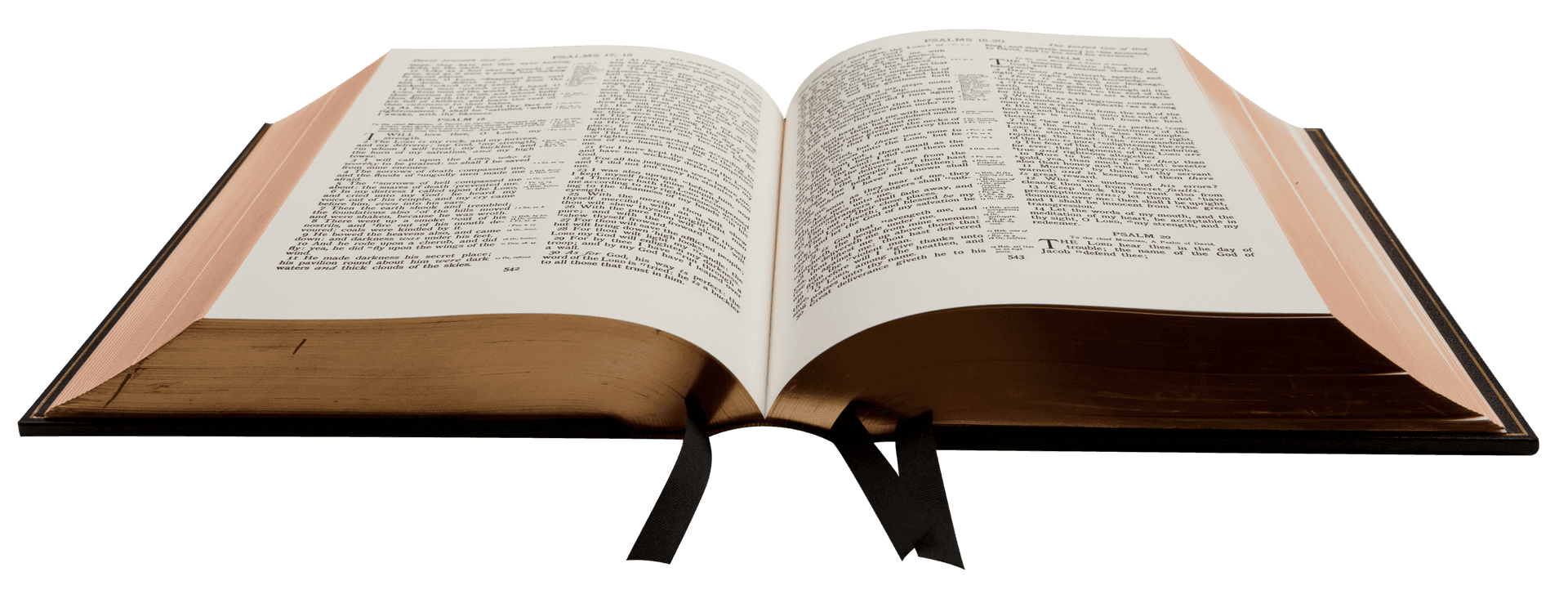 Open Holy Bible PNG Image