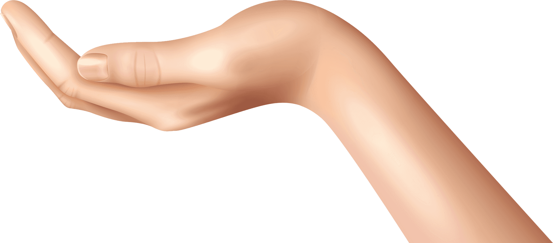 Open Palm Hand Clipart PNG Image