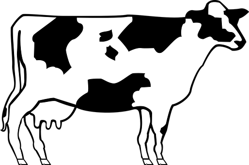 Optical Illusion Cow Camel PNG Image