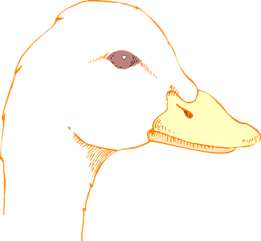 Optical Illusion Duck Rabbit PNG Image