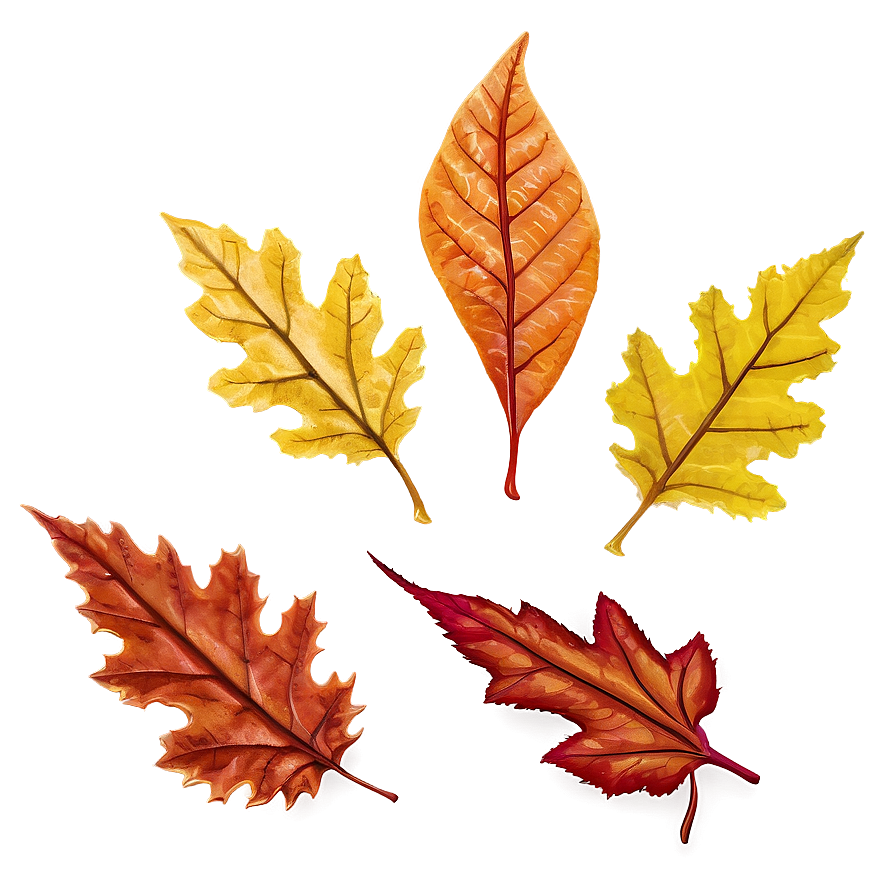 Orange Autumn Leaf Png Gdh PNG Image