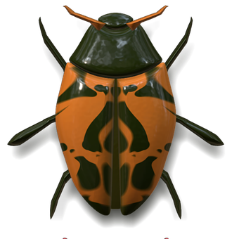 Orange Black Ladybug On Dark Background PNG Image