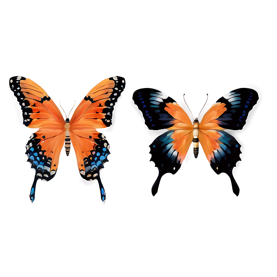 Orange Butterflies Png 57 PNG Image