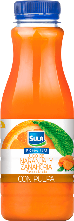 Orange Carrot Juice Bottle PNG Image