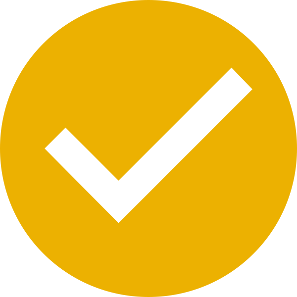 Orange Checkmark Icon PNG Image