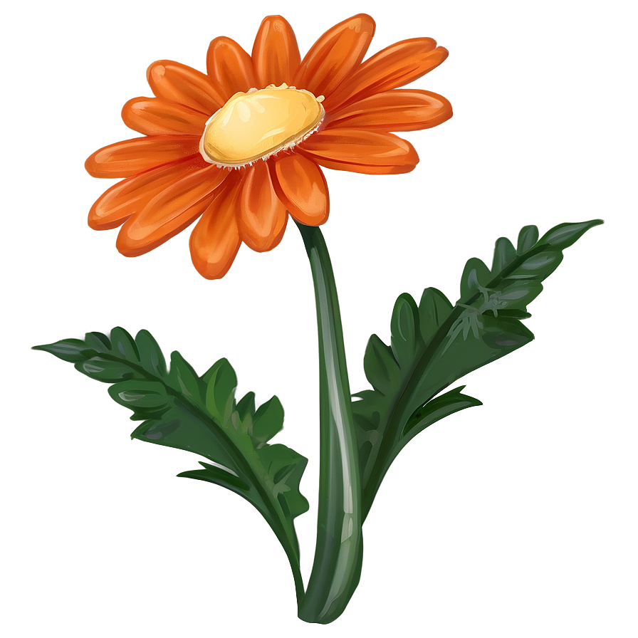 Orange Daisy Illustration Png 57 PNG Image