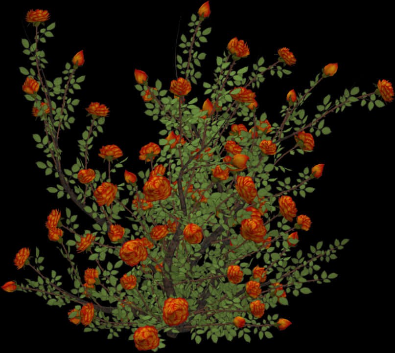 Orange Flower Bushon Black Background PNG Image