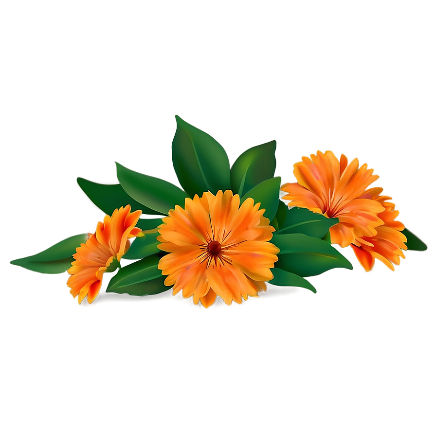 Orange Flower Field Png 49 PNG Image