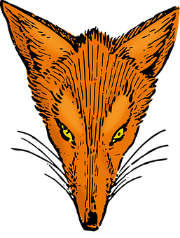 Orange Fox Face Illustration PNG Image