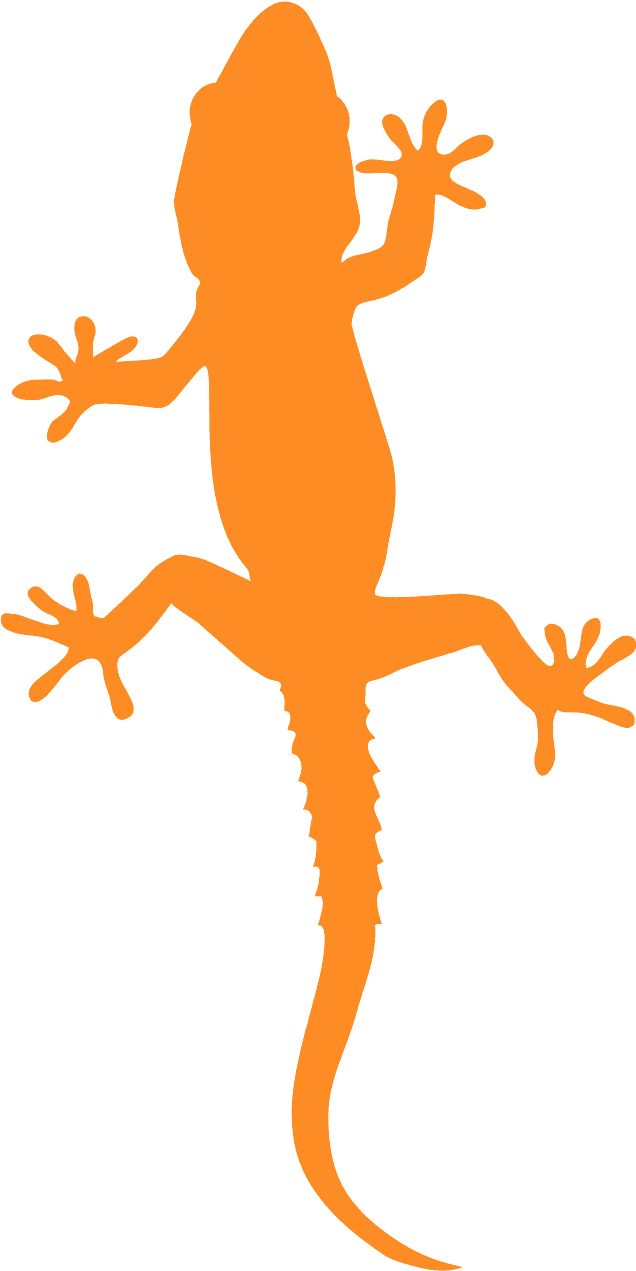 Orange Gecko Silhouette PNG Image