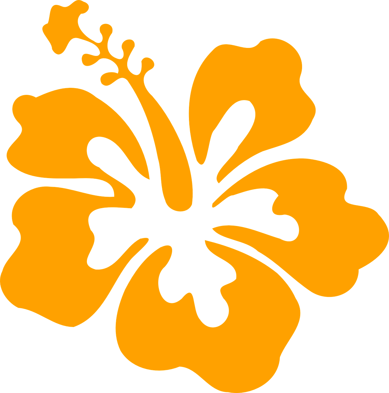 Orange Hibiscus Silhouette PNG Image