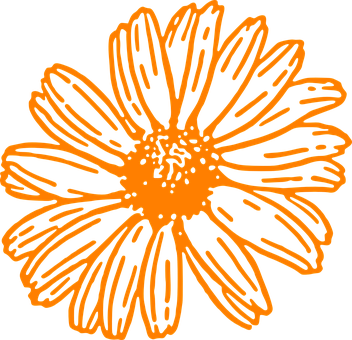 Orange Outlined Flower Illustration PNG Image