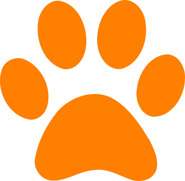 Orange Paw Print Graphic PNG Image