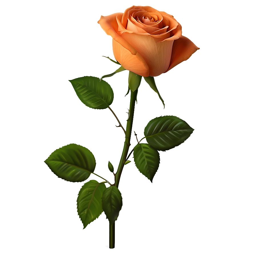 Orange Rose Png Eab PNG Image