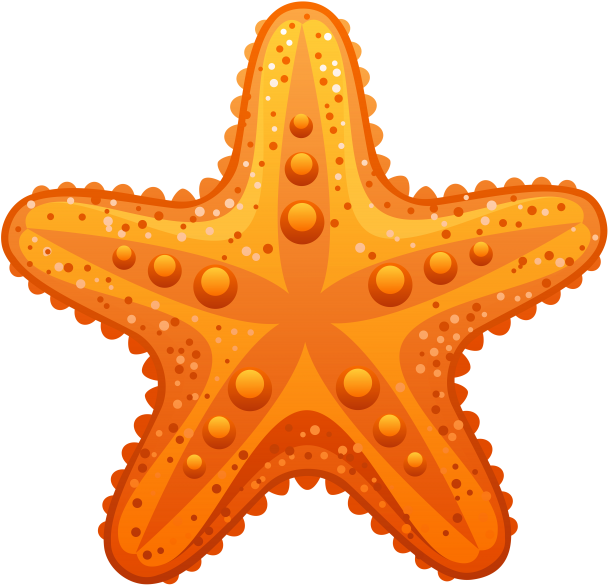 Orange Starfish Clipart PNG Image