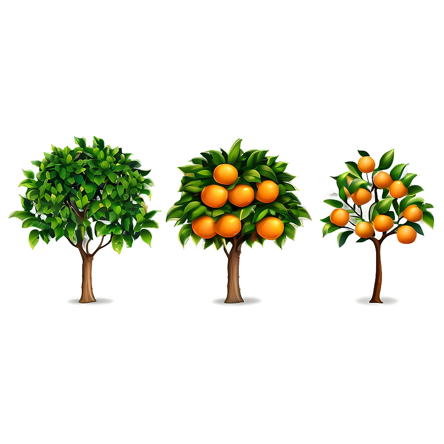 Orange Tree B PNG Image