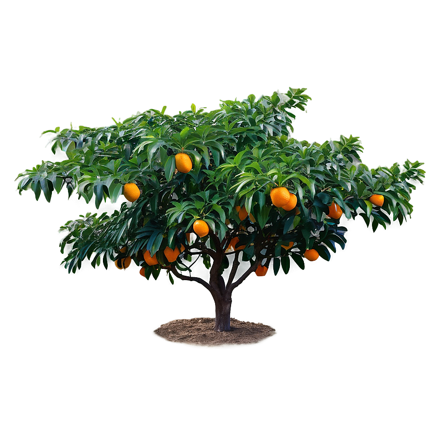 Orange Tree Sunrise Png 10 PNG Image