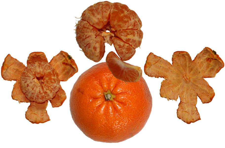 Orangeand Peeled Segments PNG Image