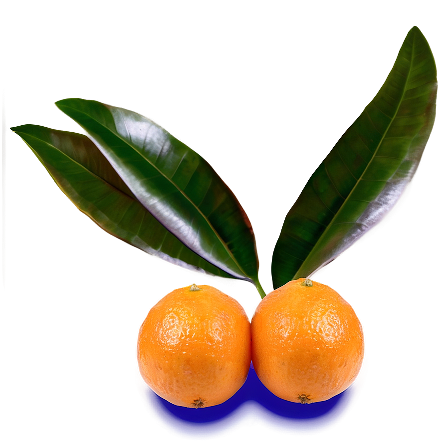 Oranges And Leaves Png Nac38 PNG Image