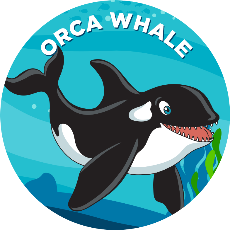 Orca Cartoon Illustration PNG Image