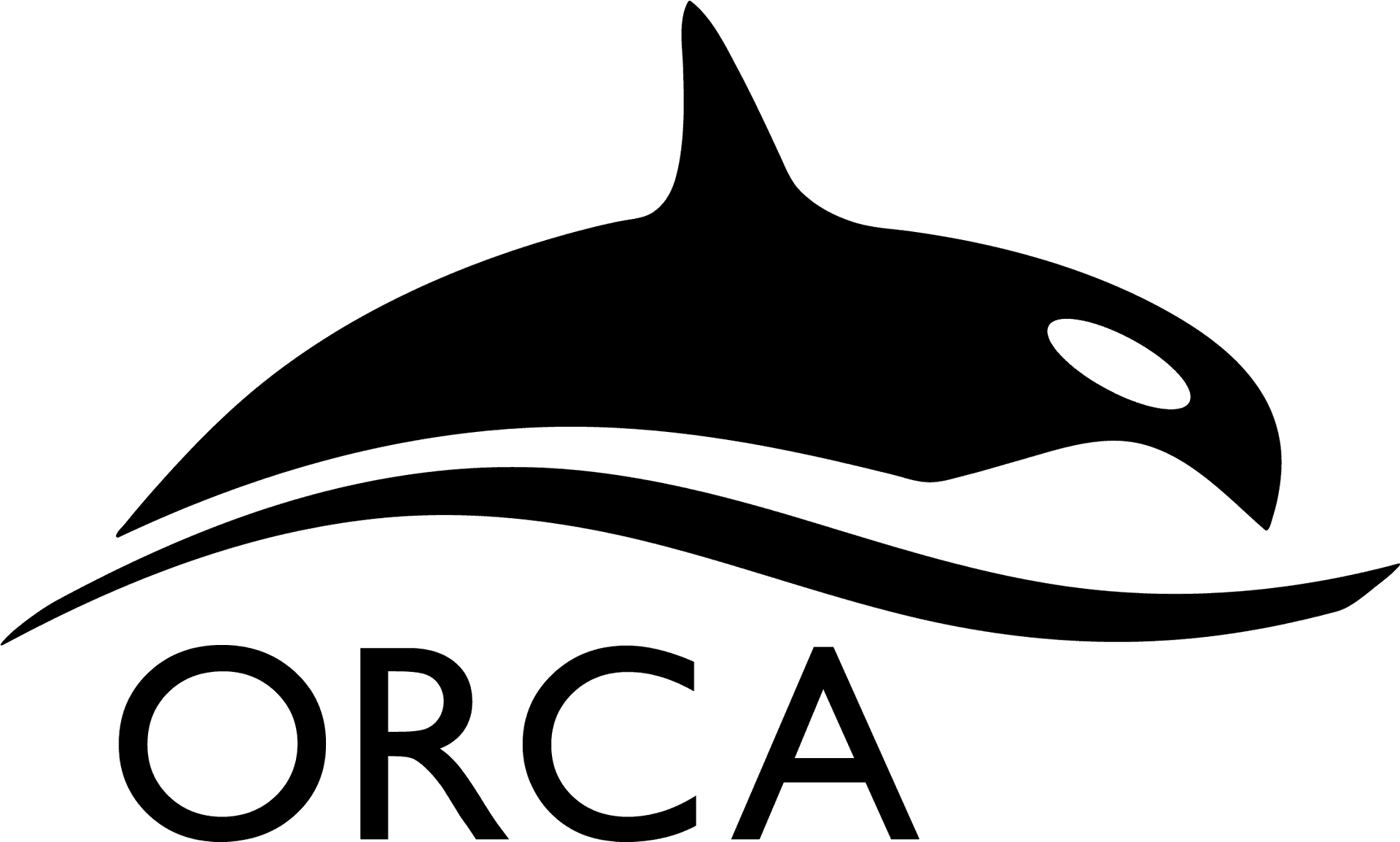 Orca Logo Silhouette PNG Image