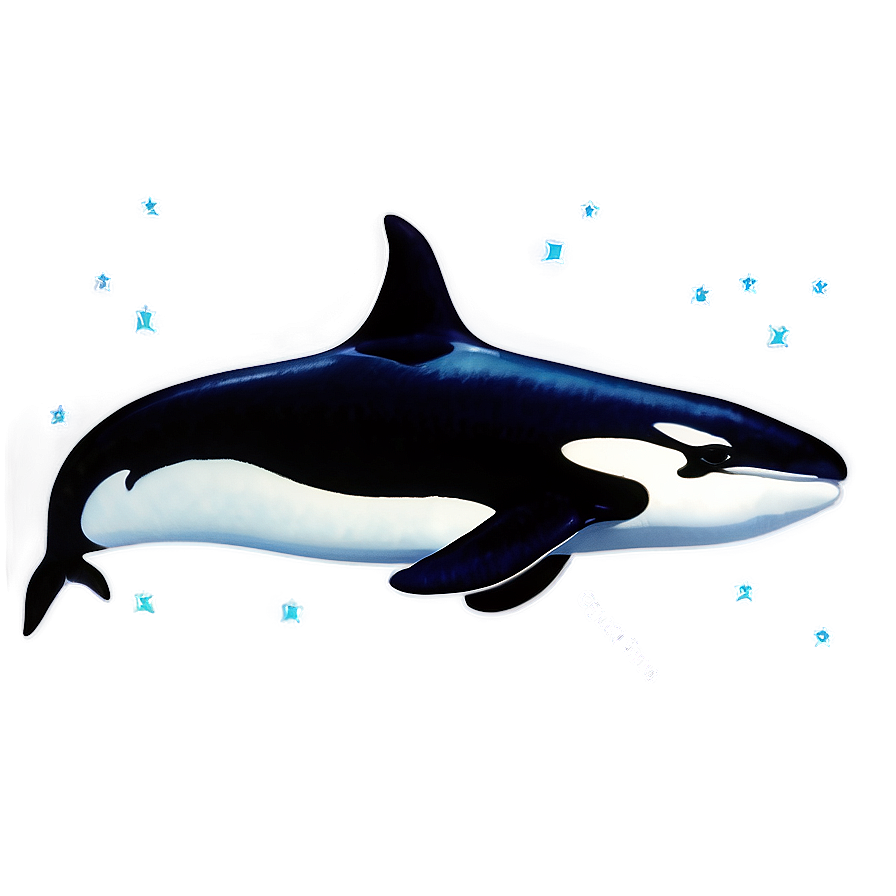 Orca Silhouette Png Tqy PNG Image