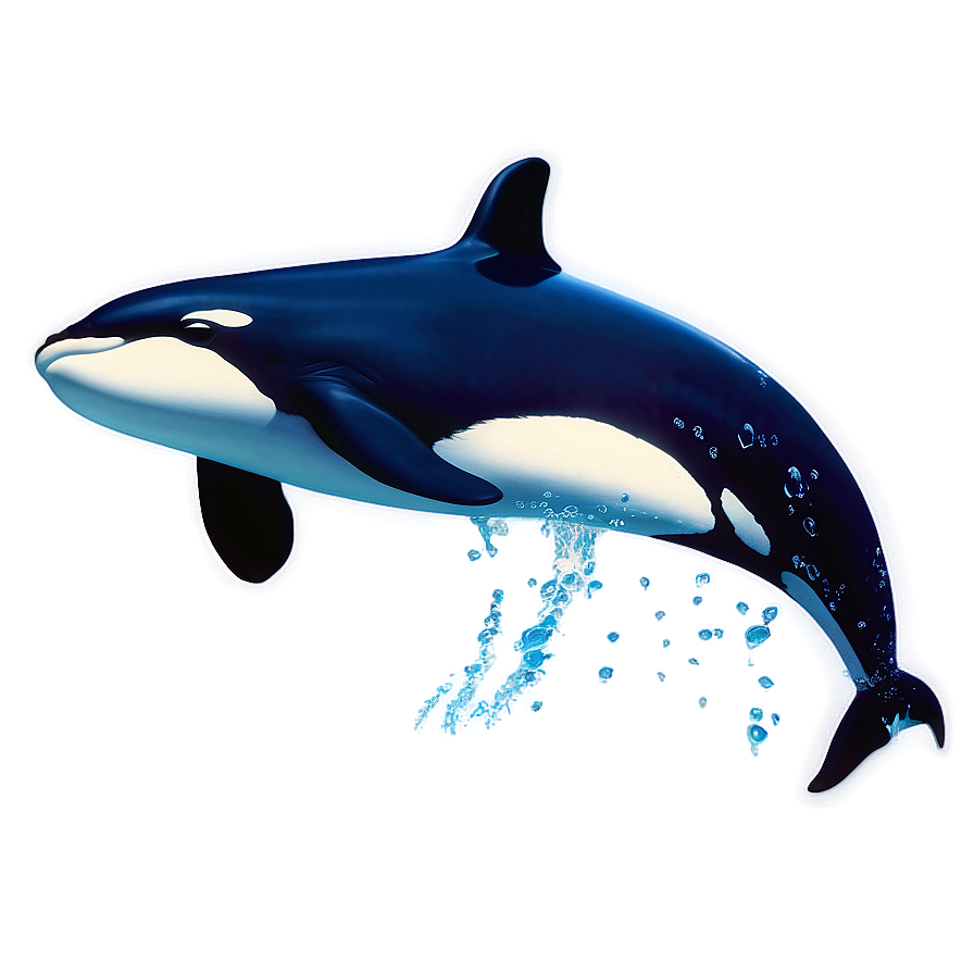 Orca Whale Underwater Scene Png Nix57 PNG Image