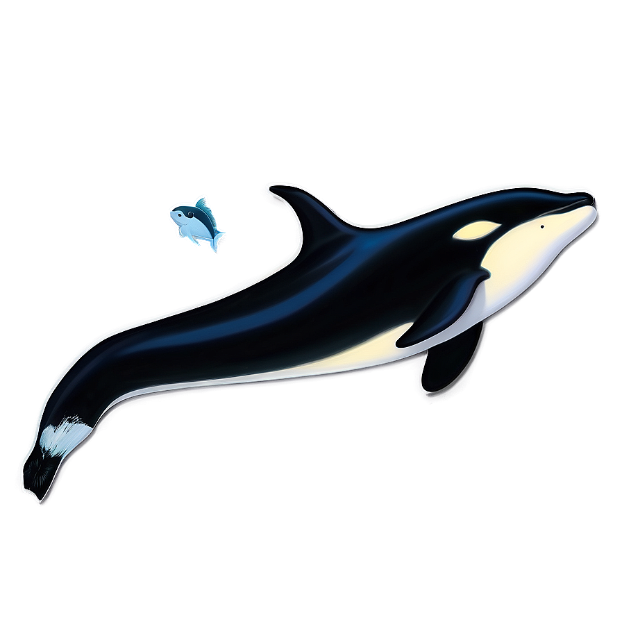 Orca With Fish Png Jce PNG Image