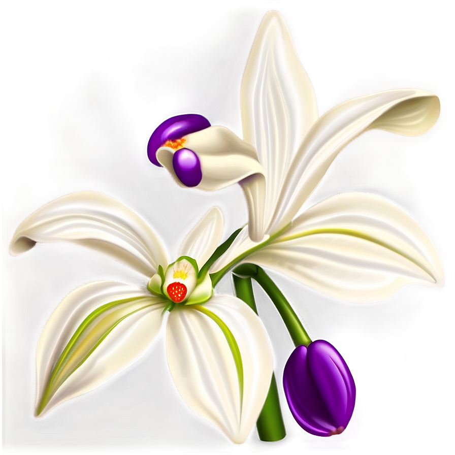 Orchid Art Png Ivj PNG Image