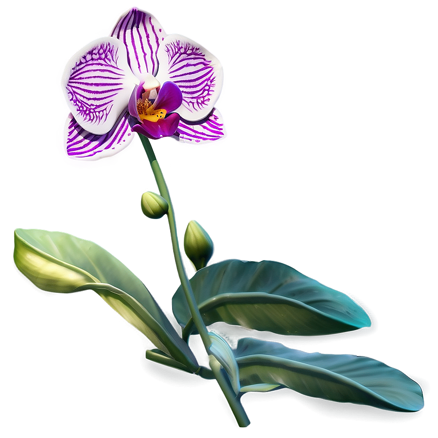 Orchid Emblem Png Afq64 PNG Image