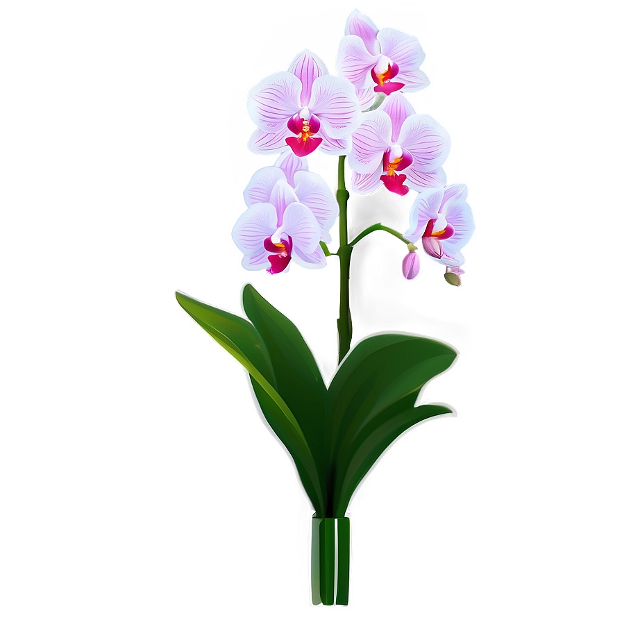 Orchid Flower Bush Png Jqp PNG Image