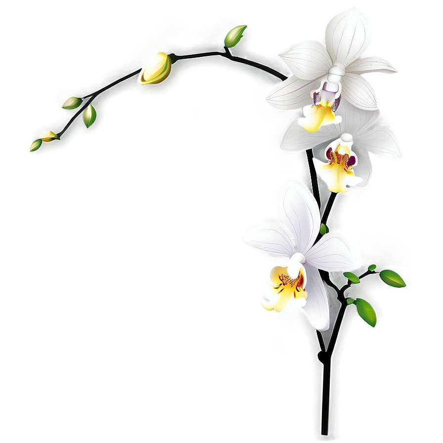 Orchid Vector Png Ahi33 PNG Image