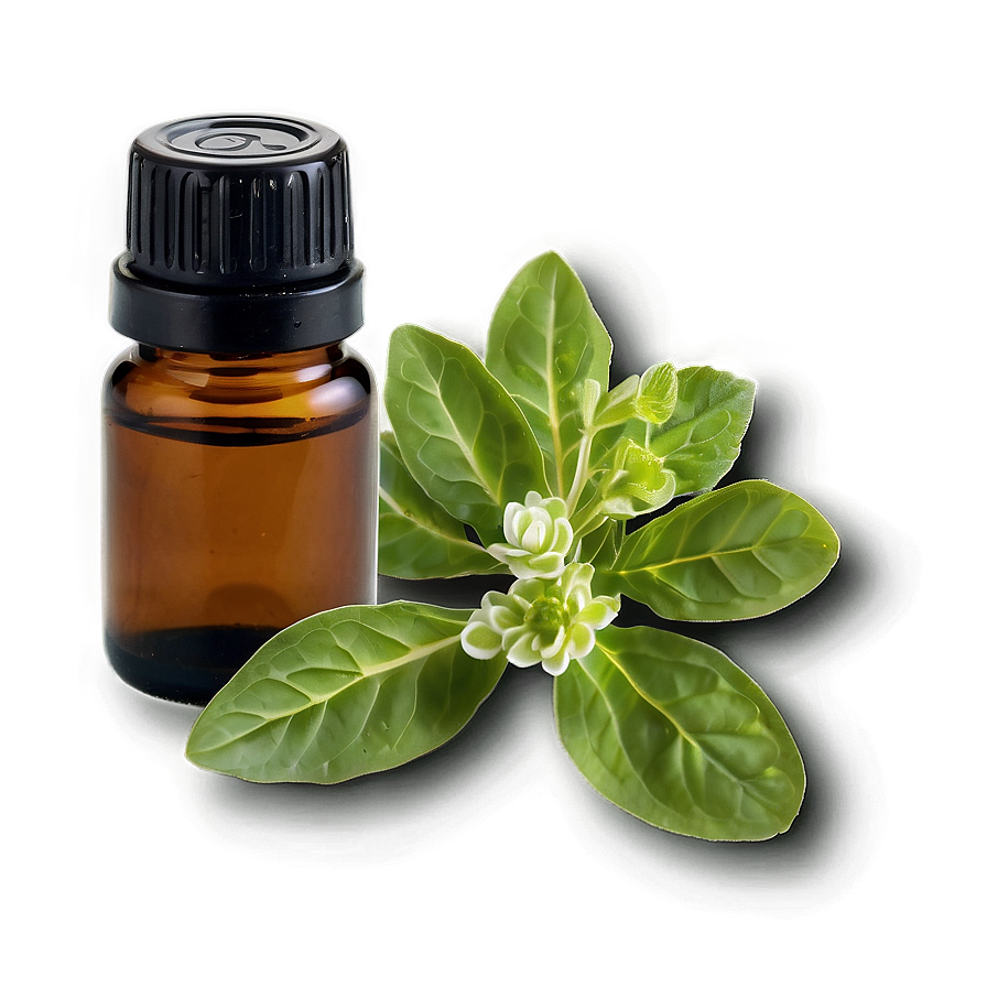 Oregano Essential Oil Png Eey55 PNG Image