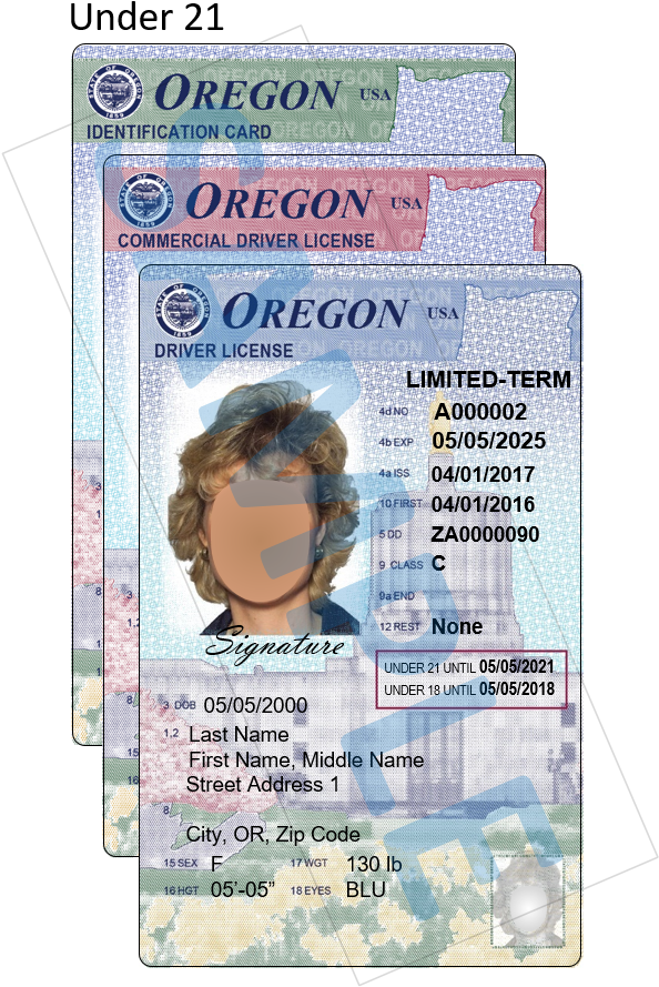 Oregon I Dand Driver Licenses Stack PNG Image