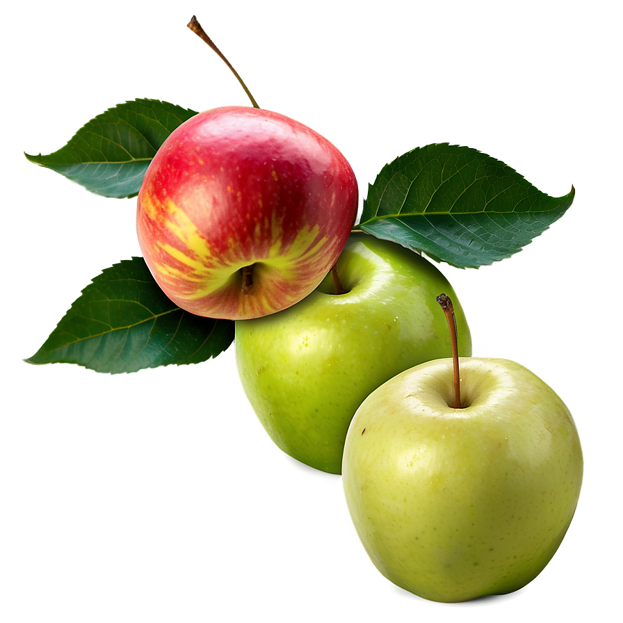 Organic Apple Png 98 PNG Image