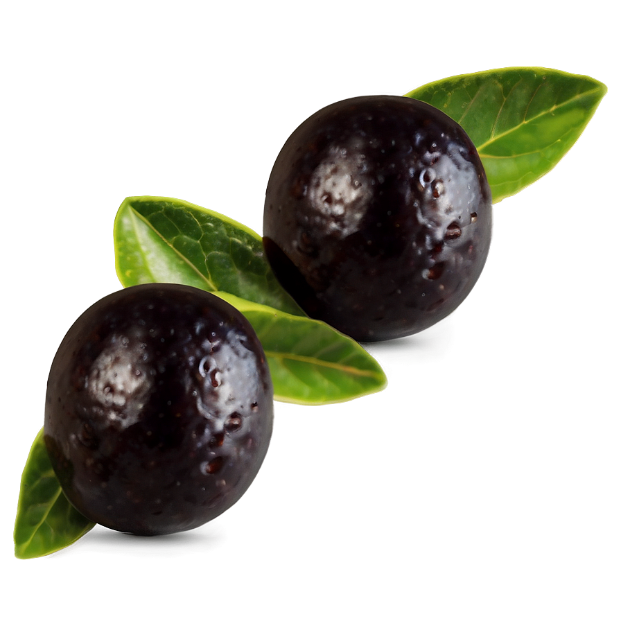 Organic Black Olives Png 06292024 PNG Image