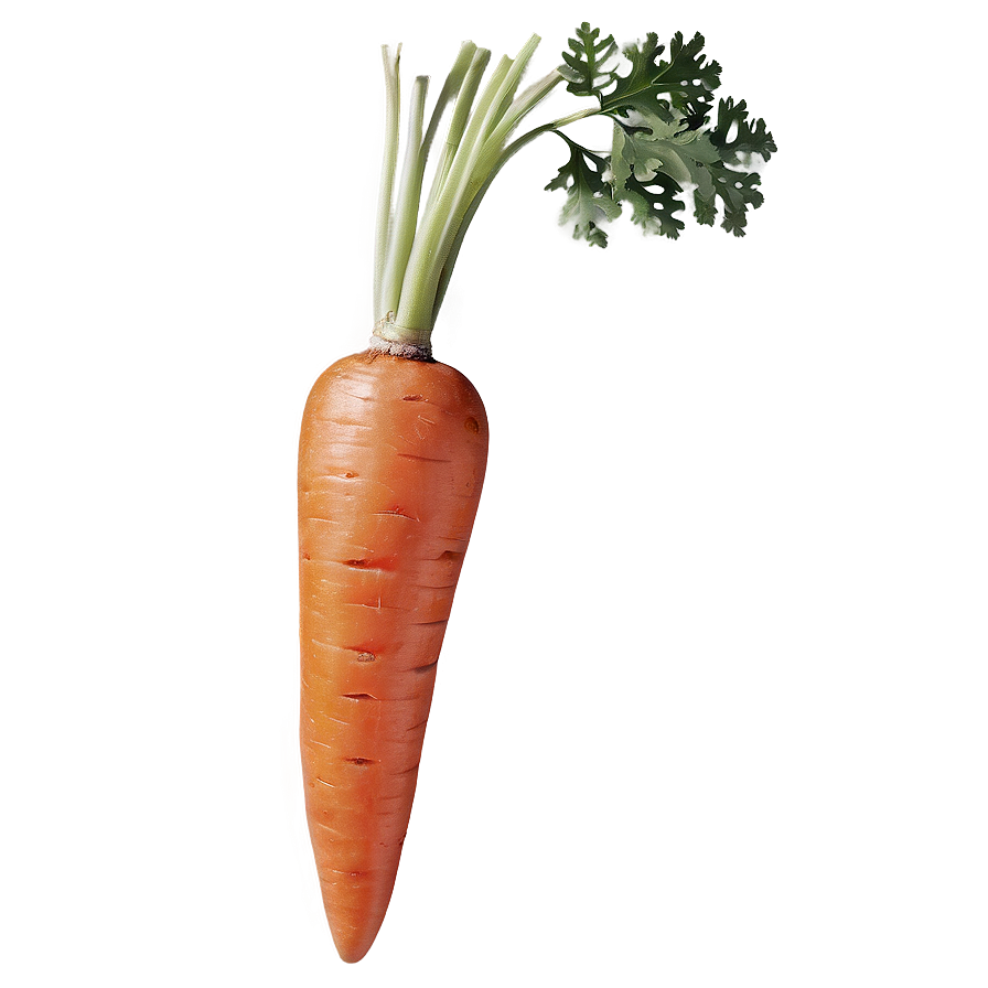 Organic Carrot Png 06132024 PNG Image