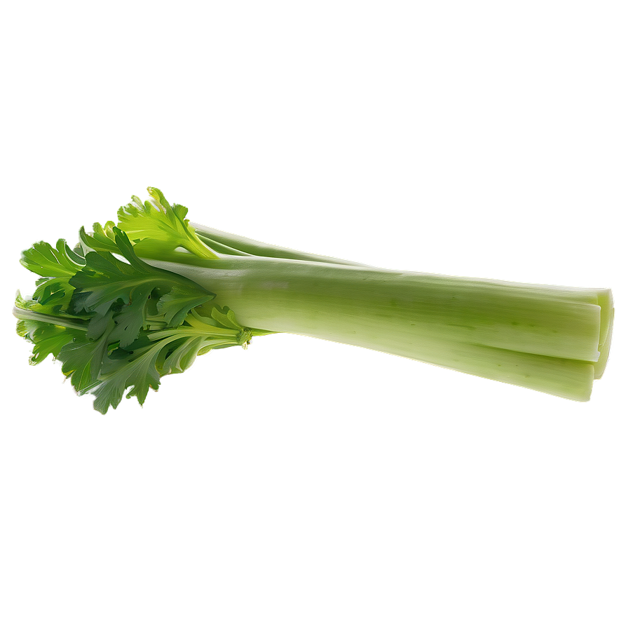 Organic Celery Stick Png 06252024 PNG Image