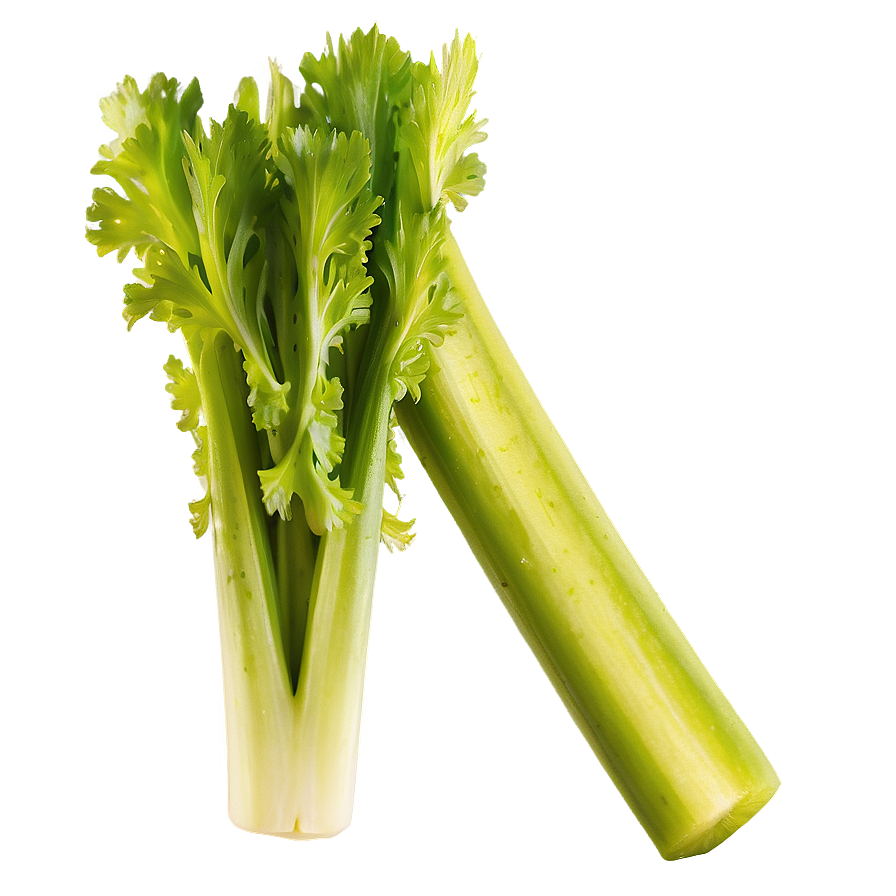 Organic Celery Stick Png 66 PNG Image