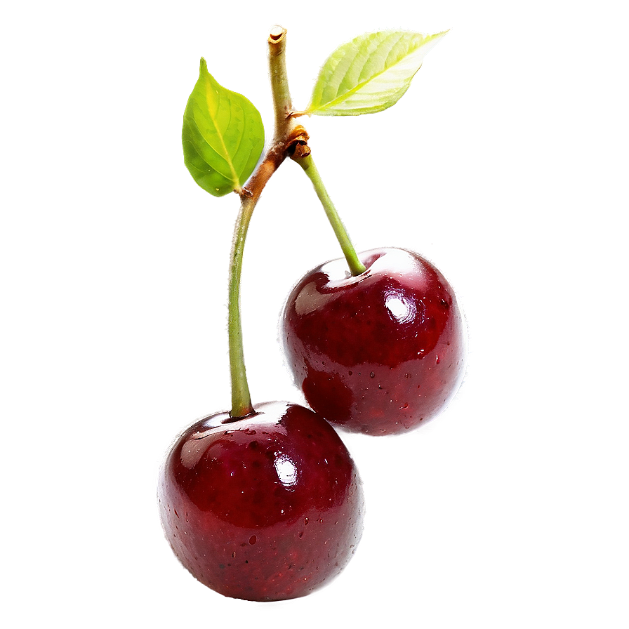 Organic Cherries Png 06212024 PNG Image